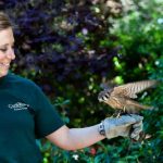 Animal keeper with bird