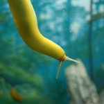 Banana Slug