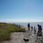 Families playing on shore