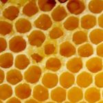 Honeycomb, up close