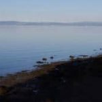 View of San Francisco Bay