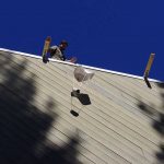 Egg Drop
