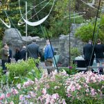 corporate-events-garden