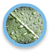 Droplets of water on a surface.