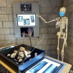 The Bone Zone