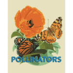 Pollinators