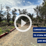 A thumbnail image of our storm recovery slideshow.