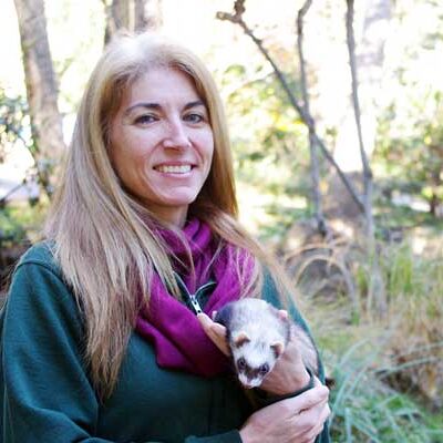 animal-keeper-with-ferret Person holding ferret animal in their arms.