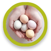 circle-eggosmosis2 Hands cupping eggs