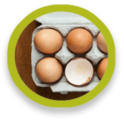 circle-eggs1 Eggs in carton