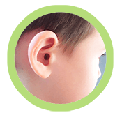 Ear on side of head
