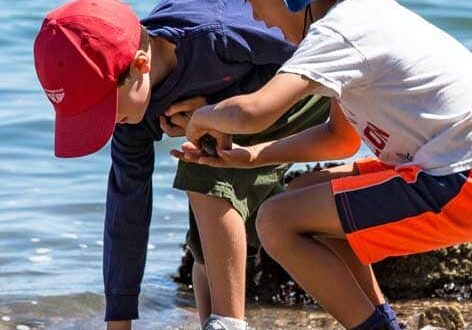 Kids explore beach at summer camp Two children explore a rocky beach